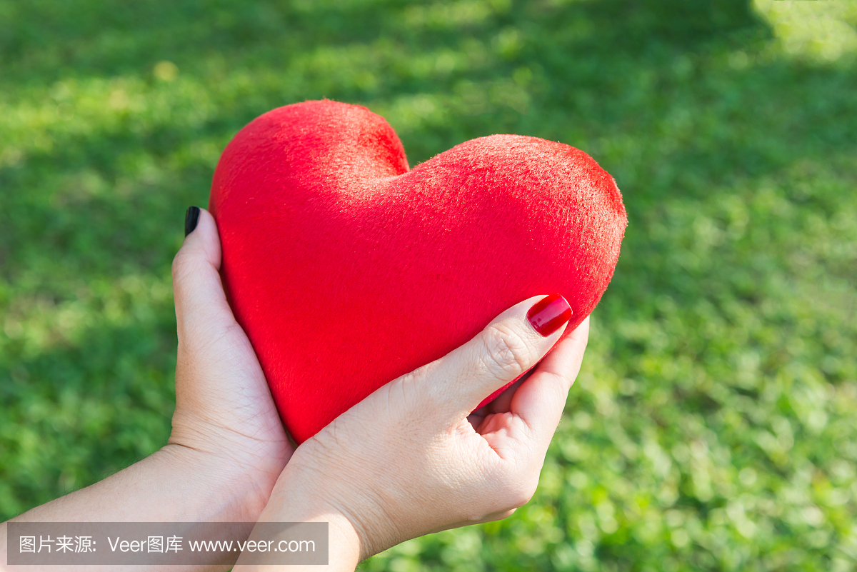 红色柔软的心脏小枕头形状在女人的手中为情人