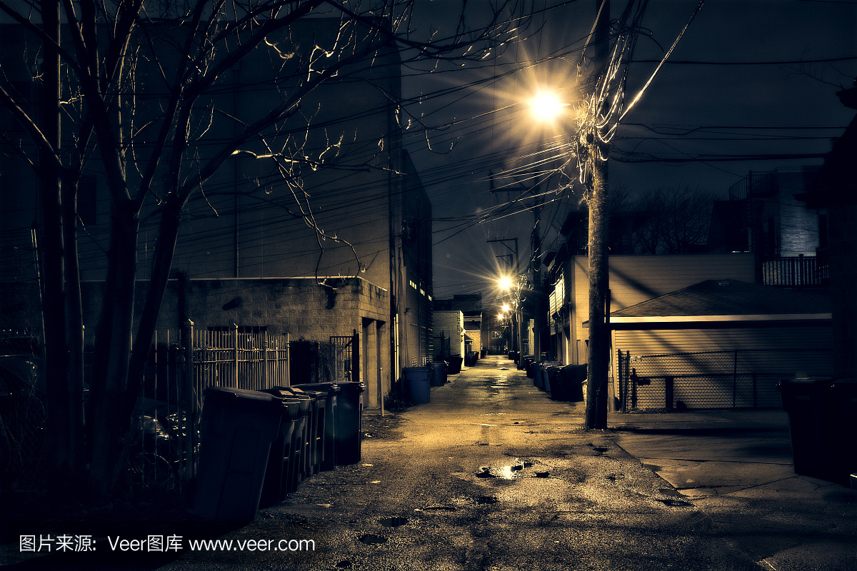 雨后黑夜,沙砾和湿芝加哥胡同。