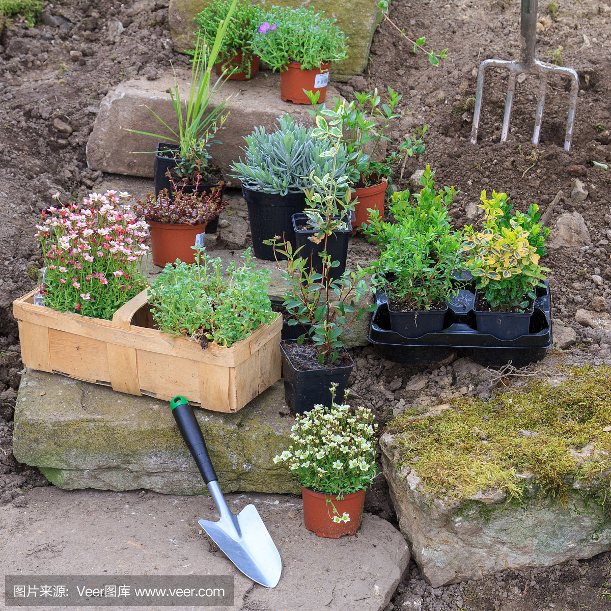 薄膜,表膜,枯山水,日本岩石花园