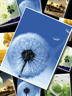 手机美女动态壁纸,240x320,动态手机图片,动态-291kb