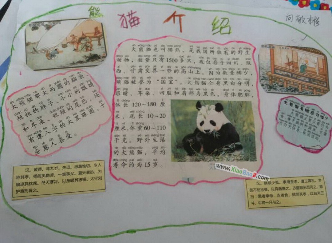 panda手抄报