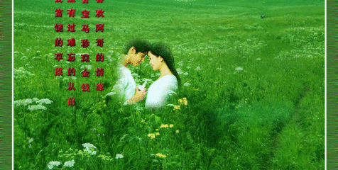 壁纸 成片种植 风景 植物 种植基地 桌面 476_240 gif 动态图 动图