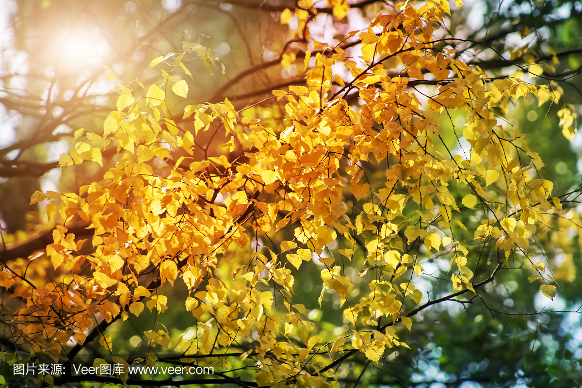 太阳 秋季 十月 - Pixabay上的免费照片 - Pixabay