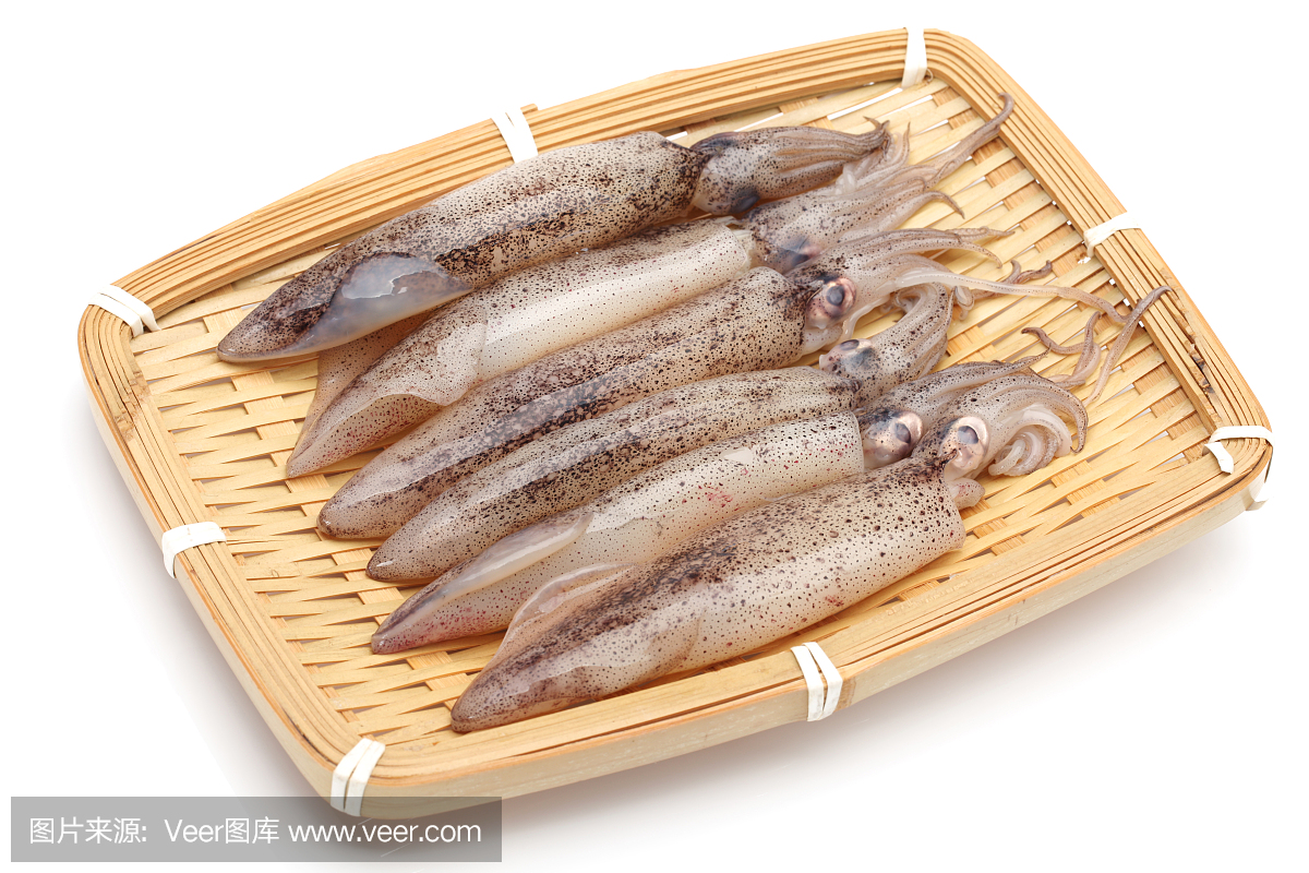 在白色背景上的新鲜鱿鱼