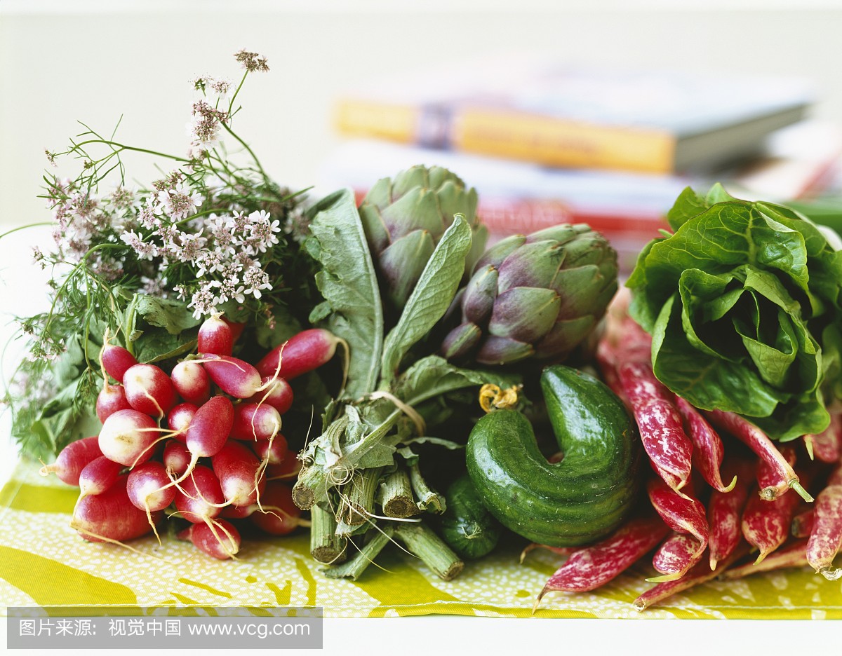 宁静,夏南瓜,社区菜园,季节