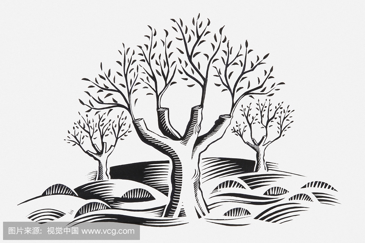 从修剪的树木生长的新芽的黑白插图