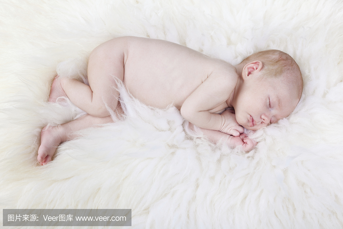 可爱的白种人新生婴儿幸福地睡在羊毛上