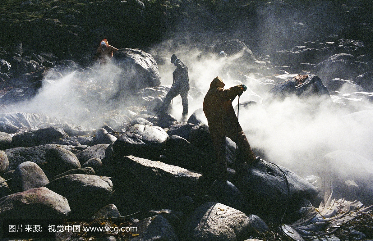 利西亚海岸的威望船的燃料污染。 2004年12