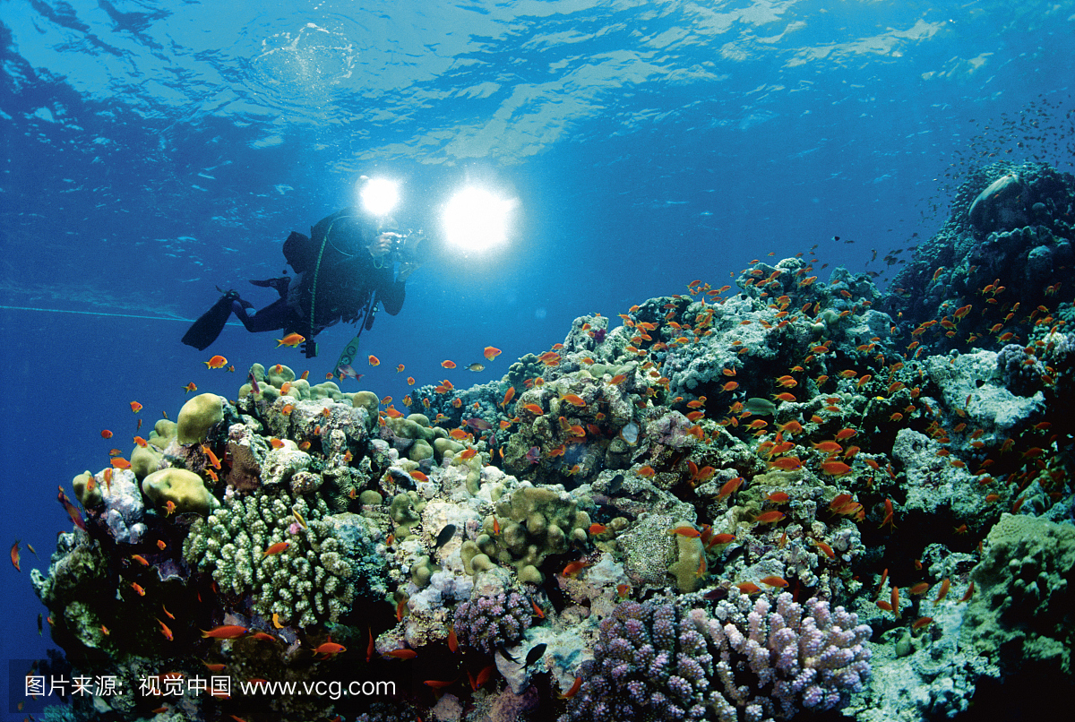 自然,人,发现号,档案