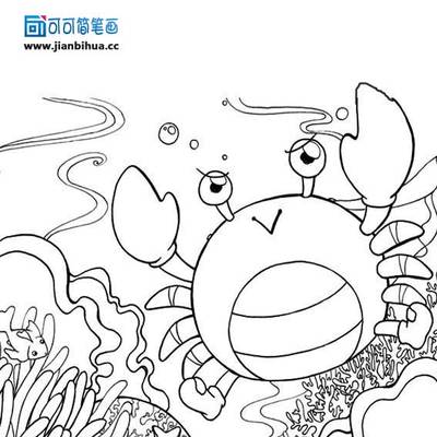 海底图片简笔画,海底动物简笔画图片,海底简笔-44kb